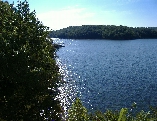 summer photo